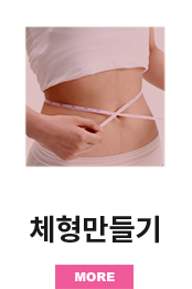 체형